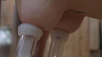 Tetona Ordeñada Con Dolor Extremo